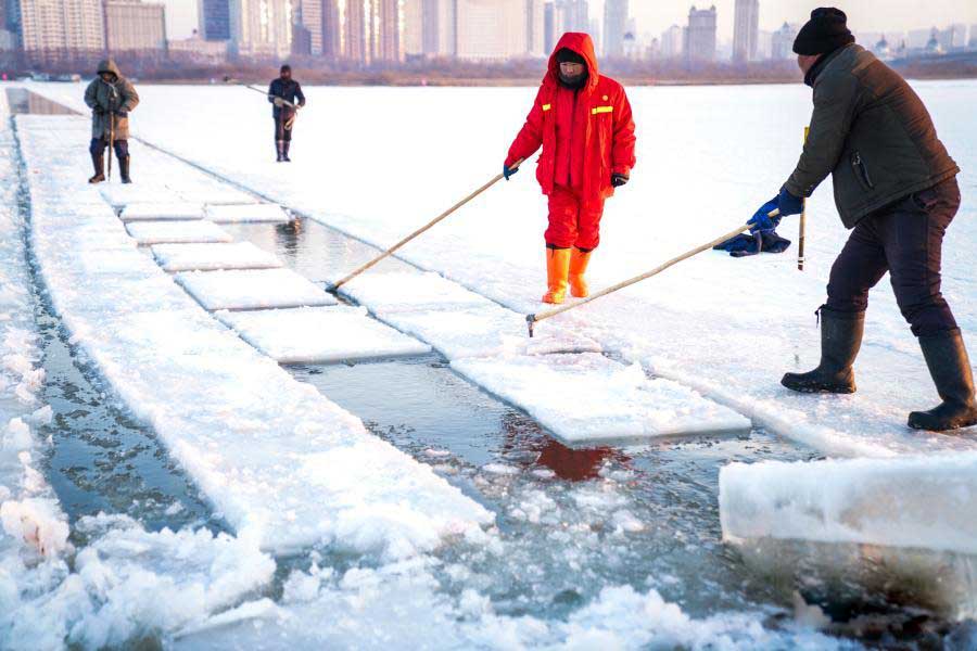哈爾(er)濱冬季(ji)采冰 采(cai)冰工具(jù)